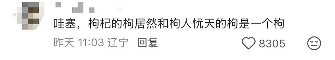 【爆笑】当妈妈怀疑同事给我下了猪饲料后…？哈哈哈好一个扮猪吃饲料（组图） - 27