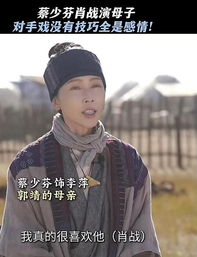 落地凤凰不如鸡？52岁蔡少芬为钱奔波瘦脱相，被王晶嘲讽不上进（组图） - 15