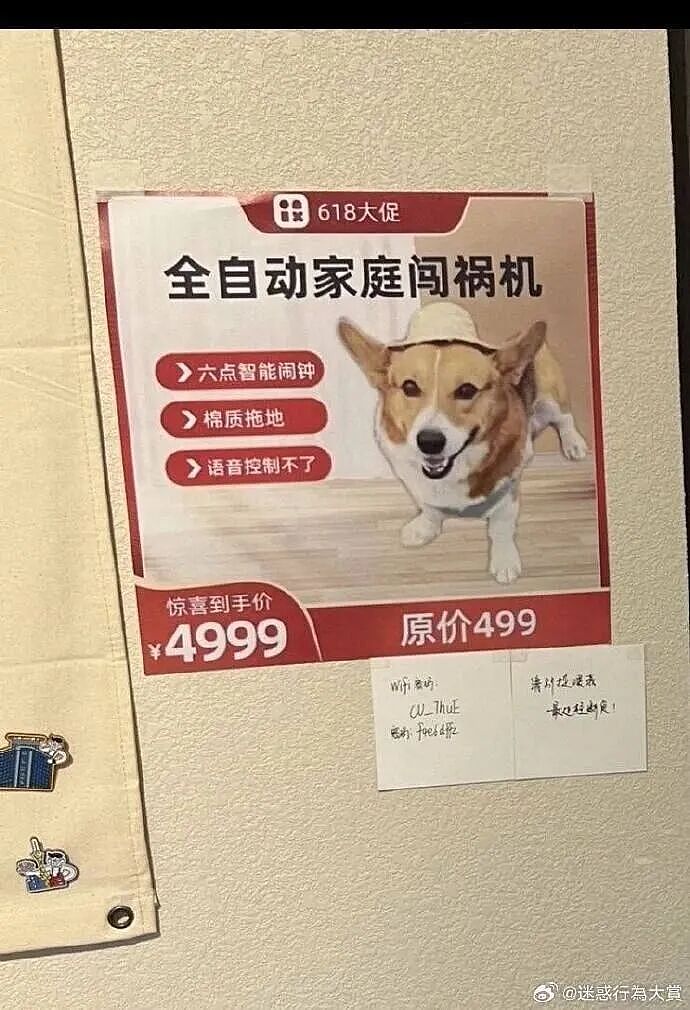 【爆笑】当妈妈怀疑同事给我下了猪饲料后…？哈哈哈好一个扮猪吃饲料（组图） - 59