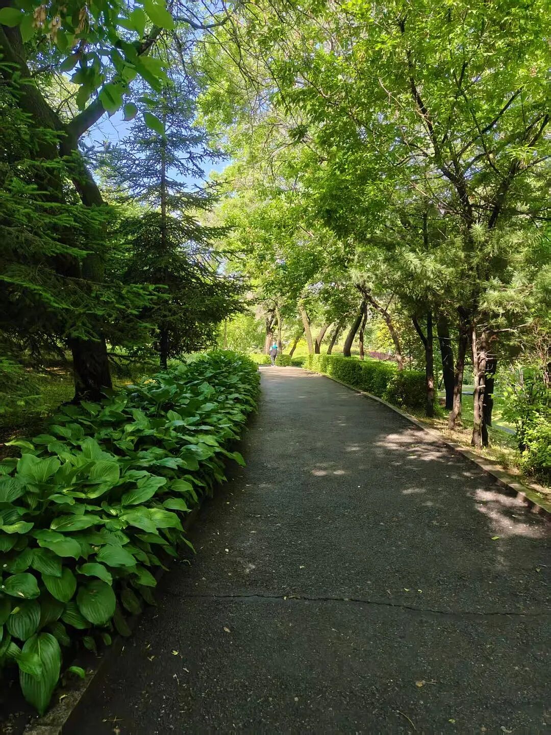 鹤岗“房产一哥”，转行擦边背后（组图） - 33