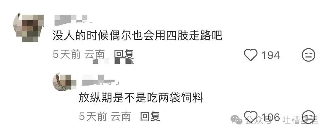 【爆笑】相亲对象讽刺我吃的太多没救了...?啊啊啊还以为是恨铁不成钢的健身教练(组图) - 10