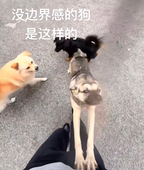 【爆笑】和男友谈了半个月，他跟我说自己有女朋友 ？网友解析：估计是婚内出轨吧？（组图） - 42