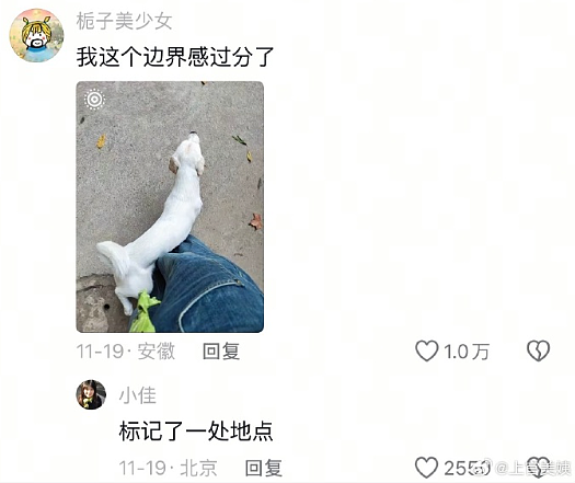 【爆笑】和男友谈了半个月，他跟我说自己有女朋友 ？网友解析：估计是婚内出轨吧？（组图） - 44