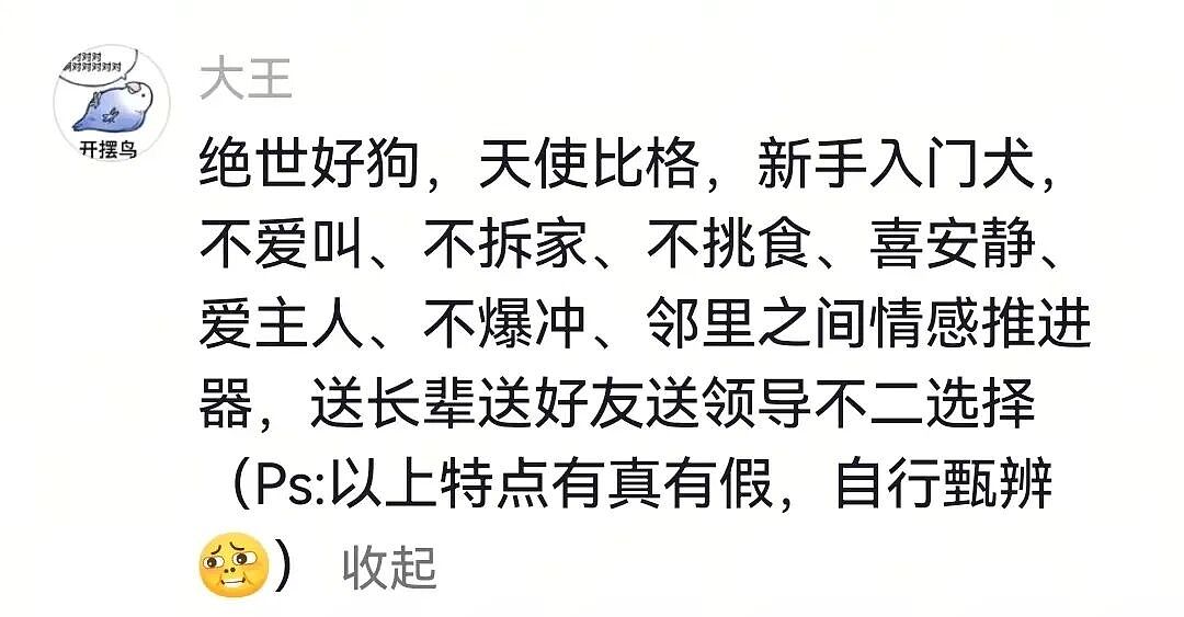 【宠物】狗主人将自家狗子扔进河,一旁贵宾看得瑟瑟发抖…网友:这波真是狗子不对了…(组图) - 22