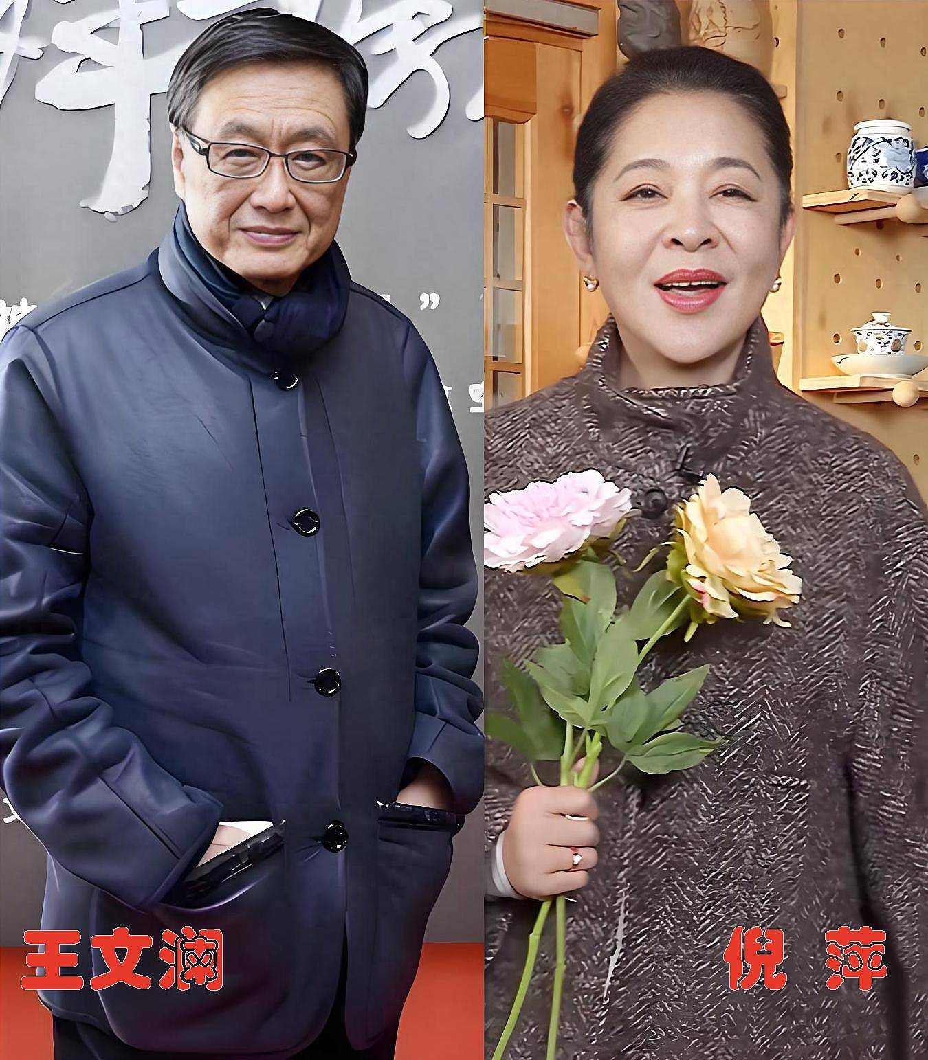 王文澜:与倪萍离婚不是“甩锅”眼疾儿子(组图) - 1