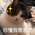 【两性】当另一半想要羞羞时，这些暗示简直了！（组图） - 3