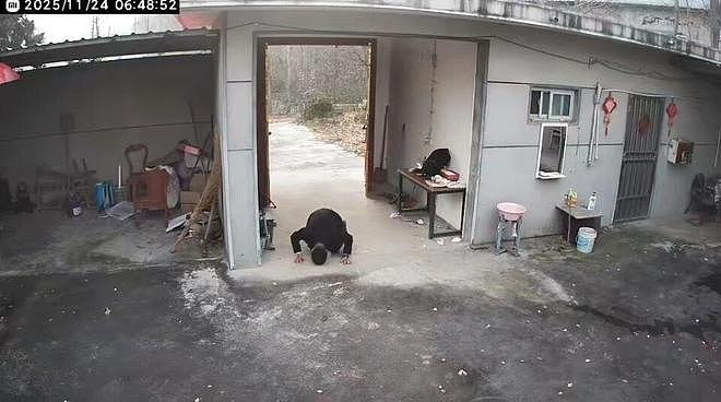 “80后”男子跪别已无亲人的老宅:约一年无人居住,没有父母后感觉家不再是家,磕头向着父亲遗像的方向(视频/组图) - 1