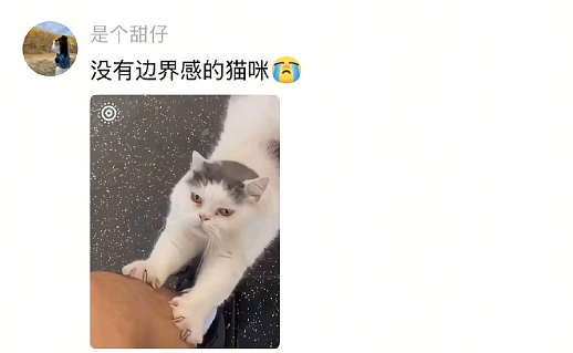 【爆笑】和男友谈了半个月，他跟我说自己有女朋友 ？网友解析：估计是婚内出轨吧？（组图） - 48