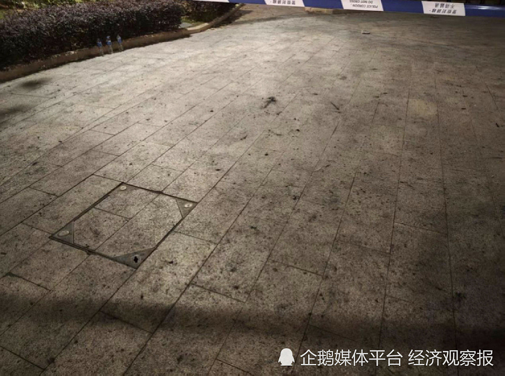 香港大埔大火已造成44人遇难,有老者称“住了几十年,没见过这么大的火”(组图) - 2