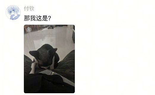 【爆笑】和男友谈了半个月，他跟我说自己有女朋友 ？网友解析：估计是婚内出轨吧？（组图） - 47