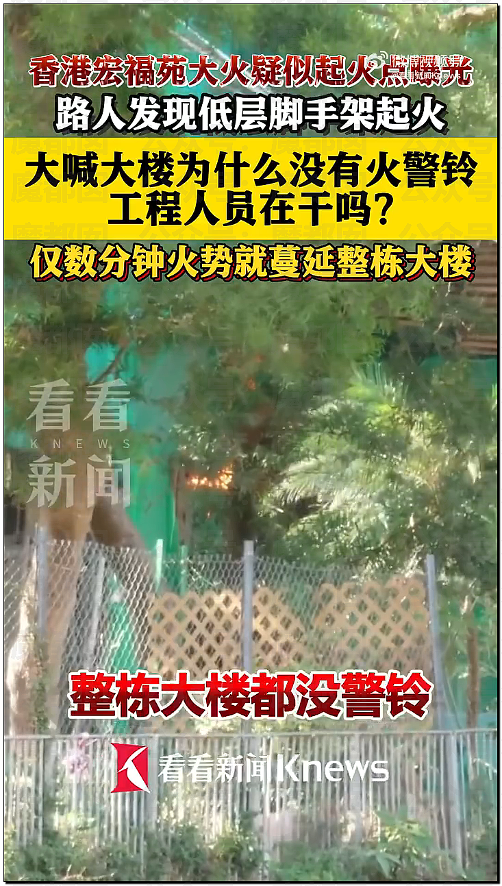 香港大火仿佛人间炼狱！竹子脚手架揭露行业腥臭垄断内幕（视频/组图） - 18