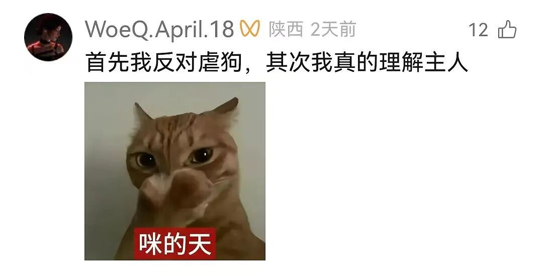 【宠物】狗主人将自家狗子扔进河,一旁贵宾看得瑟瑟发抖…网友:这波真是狗子不对了…(组图) - 9
