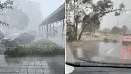 灾难级警报!新州突发凶险极端天气,1人不幸死亡!数万家庭停电,交通集体瘫痪...(组图) - 15