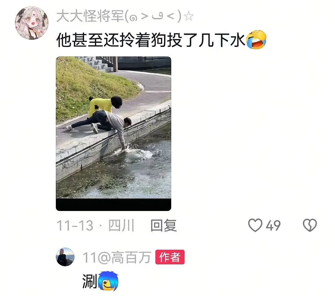 【宠物】狗主人将自家狗子扔进河,一旁贵宾看得瑟瑟发抖…网友:这波真是狗子不对了…(组图) - 16