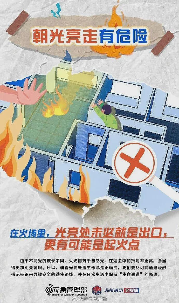 香港火灾已致44人遇难，大维修外围使用竹棚架，曾有居民询问阻燃问题，回复称“发生火灾风险相对为低”（组图） - 12