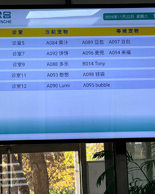 【爆笑】和男友谈了半个月，他跟我说自己有女朋友 ？网友解析：估计是婚内出轨吧？（组图） - 15