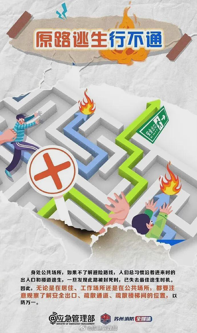香港火灾已致44人遇难，大维修外围使用竹棚架，曾有居民询问阻燃问题，回复称“发生火灾风险相对为低”（组图） - 8
