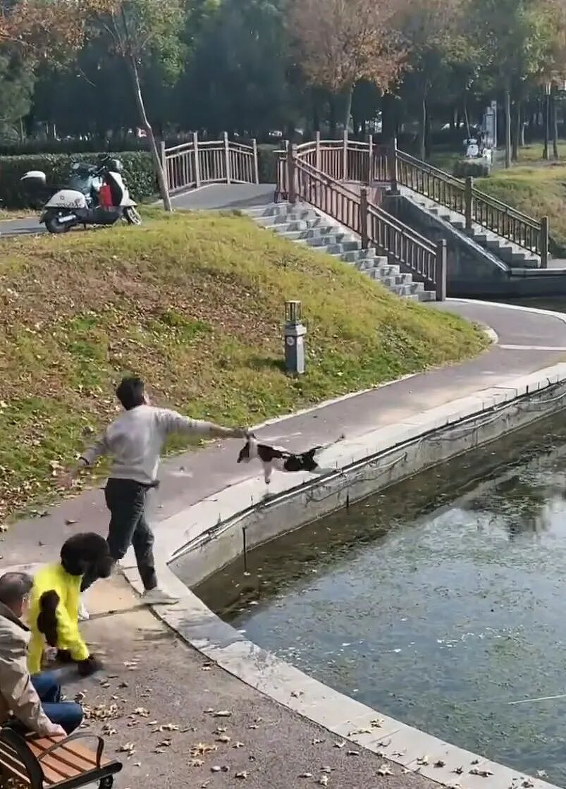 【宠物】狗主人将自家狗子扔进河,一旁贵宾看得瑟瑟发抖…网友:这波真是狗子不对了…(组图) - 7