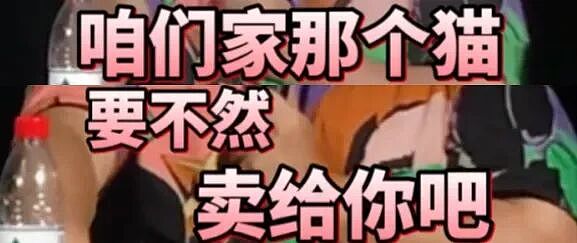 上海男子“邪修养娃”爆红，全网惊呼：还得是野路子！（组图） - 10