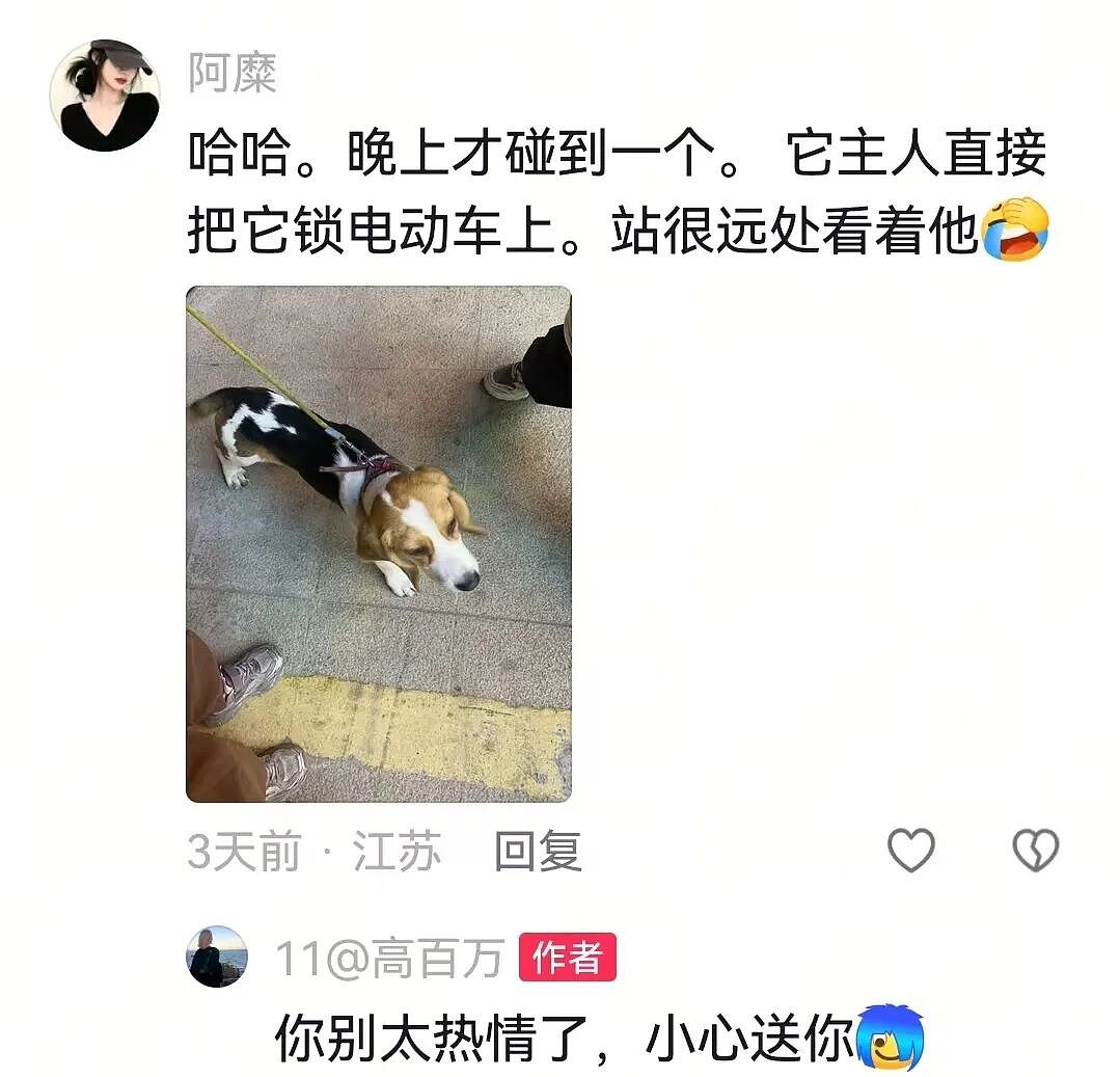 【宠物】狗主人将自家狗子扔进河,一旁贵宾看得瑟瑟发抖…网友:这波真是狗子不对了…(组图) - 14