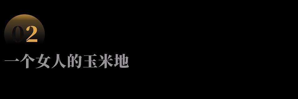 53岁的母亲,随着1亩6玉米地消失了(组图) - 3