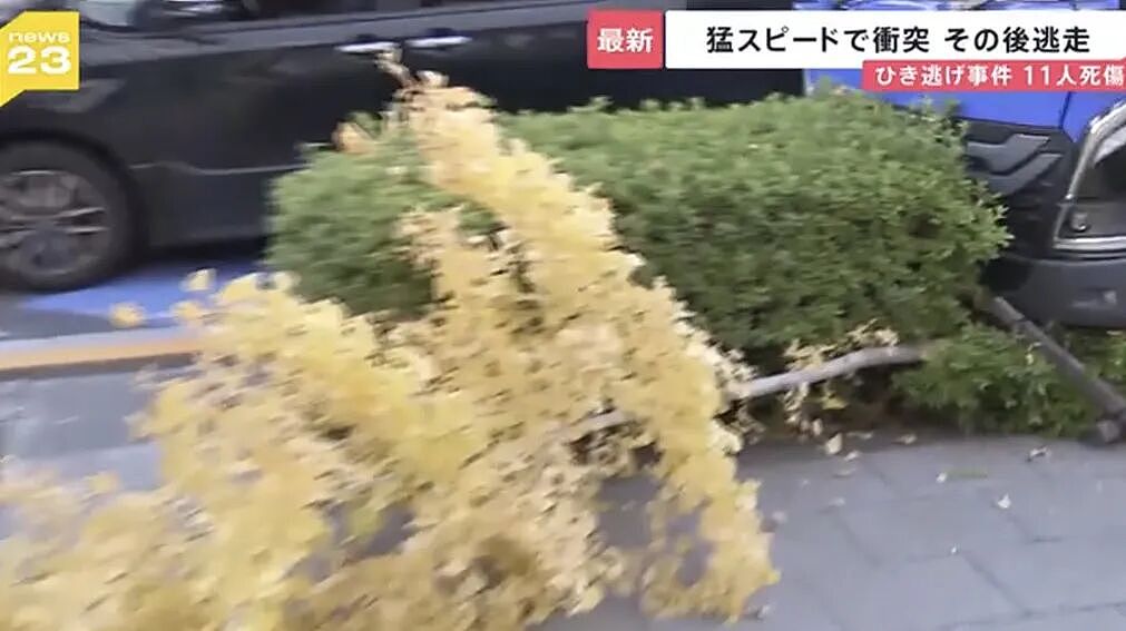 日本37岁男子偷车狂飙300米无差别连撞11人，致1人死亡、多人受伤后竟弃车逃逸（组图） - 6