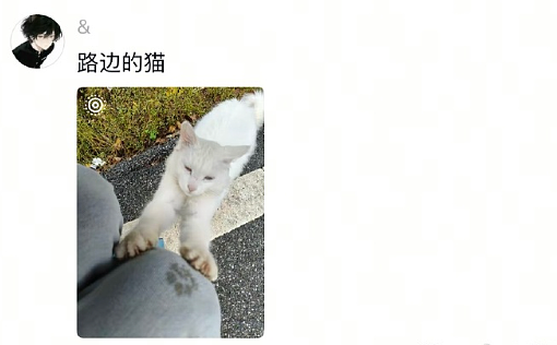 【爆笑】和男友谈了半个月，他跟我说自己有女朋友 ？网友解析：估计是婚内出轨吧？（组图） - 45