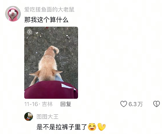 【爆笑】和男友谈了半个月，他跟我说自己有女朋友 ？网友解析：估计是婚内出轨吧？（组图） - 43