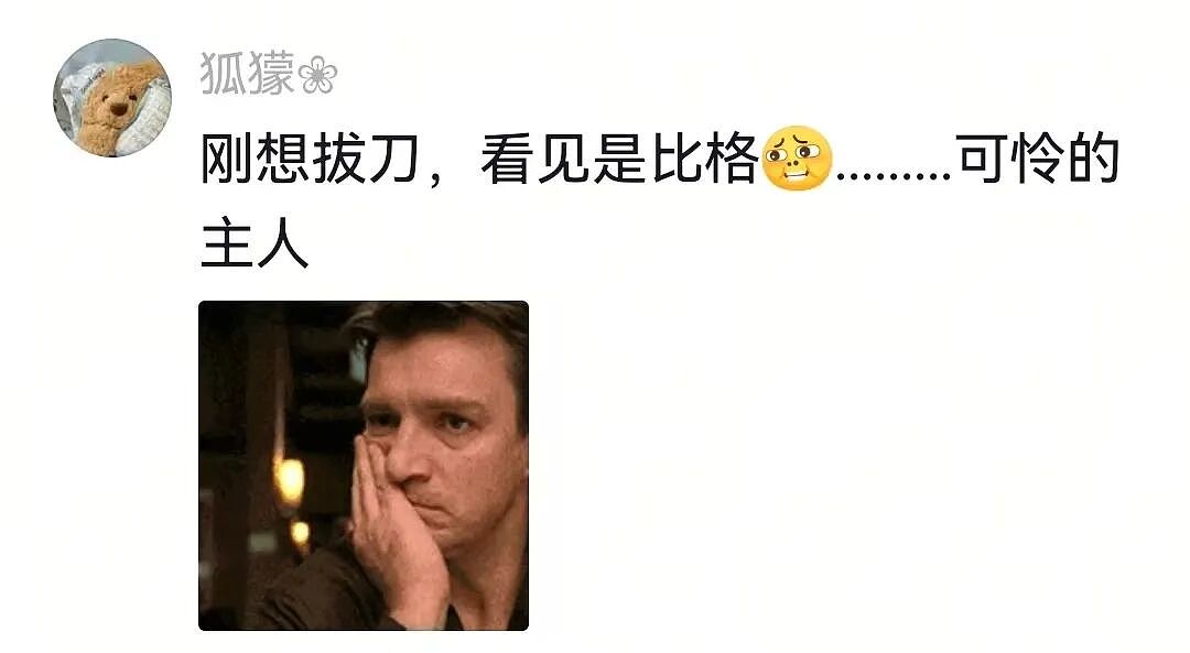 【宠物】狗主人将自家狗子扔进河,一旁贵宾看得瑟瑟发抖…网友:这波真是狗子不对了…(组图) - 17