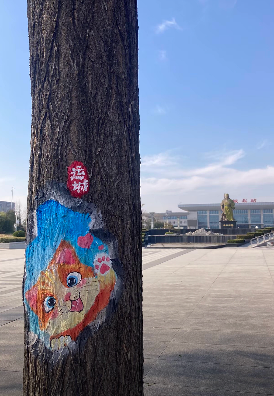 街头艺术还是市容破坏？女画家在山西运城街头为树洞绘画，不到24小时就被城管叫停！网友：创作遇上规矩（组图） - 9