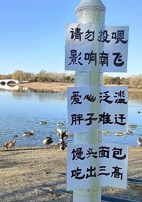 【爆笑】深夜前男友给我转了1.88w，我该不该收？网友评论亮瞎眼（组图） - 28