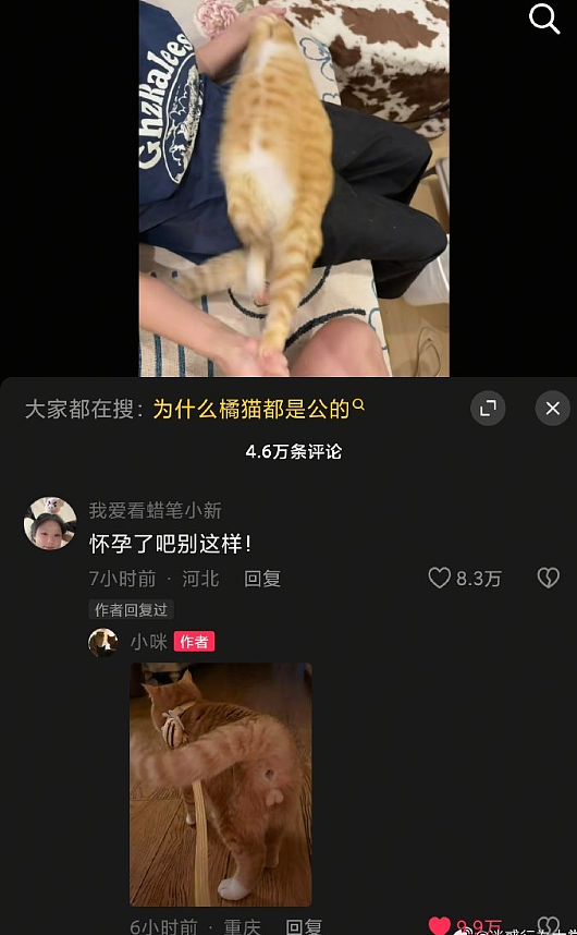 【爆笑】深夜前男友给我转了1.88w，我该不该收？网友评论亮瞎眼（组图） - 24