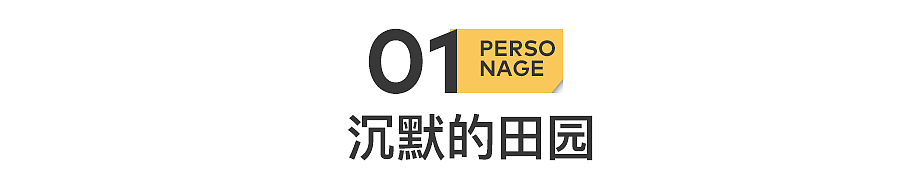 李福贵带货,李子柒沉默(组图) - 3