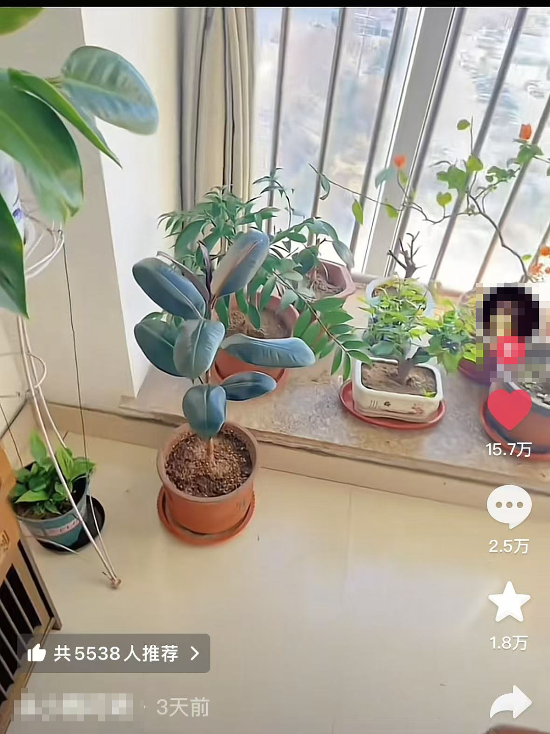 山东妻子硬闯丈夫“秘密禁地”,眼前一幕让她破防:有一种恶比出轨更毒(组图) - 2
