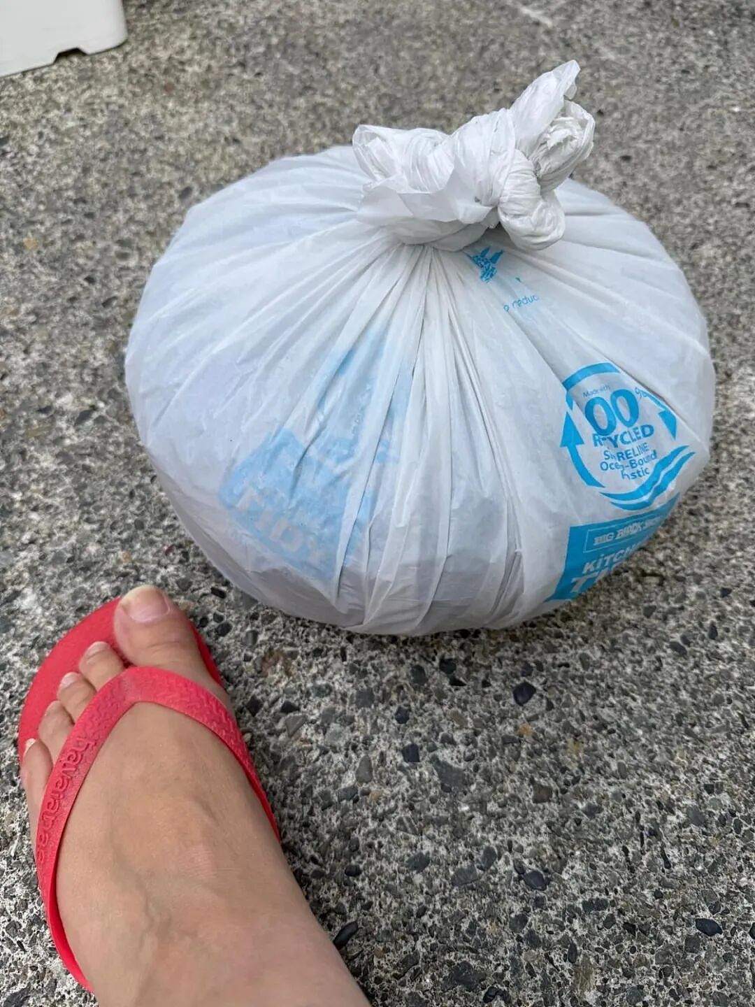 在澳洲泛滥成灾，曾引发火车追尾事故！新西兰出现“虫子风暴”，“从地板、床铺同时爬出”（组图） - 20