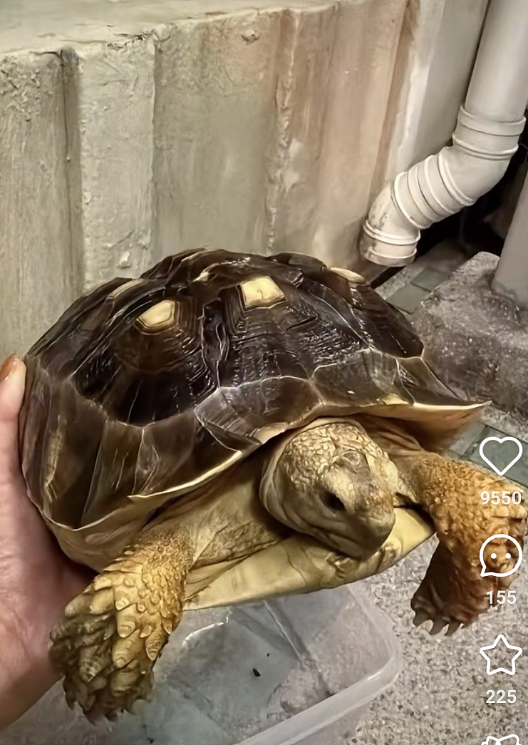 至少160死，仍有6人失联！港府成立独立委员会，认尸流程被曝混乱不堪（视频/组图） - 76