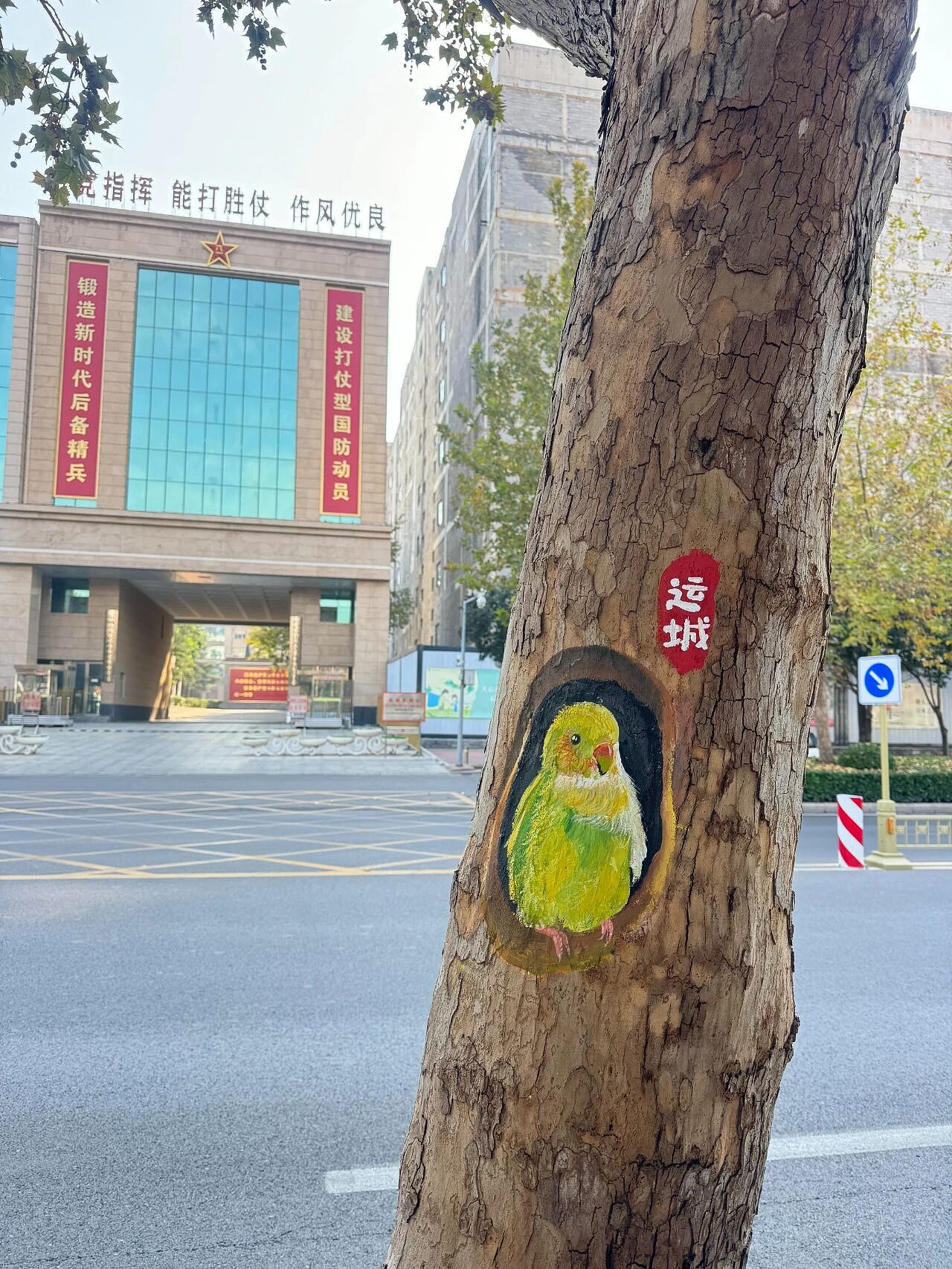 街头艺术还是市容破坏？女画家在山西运城街头为树洞绘画，不到24小时就被城管叫停！网友：创作遇上规矩（组图） - 6