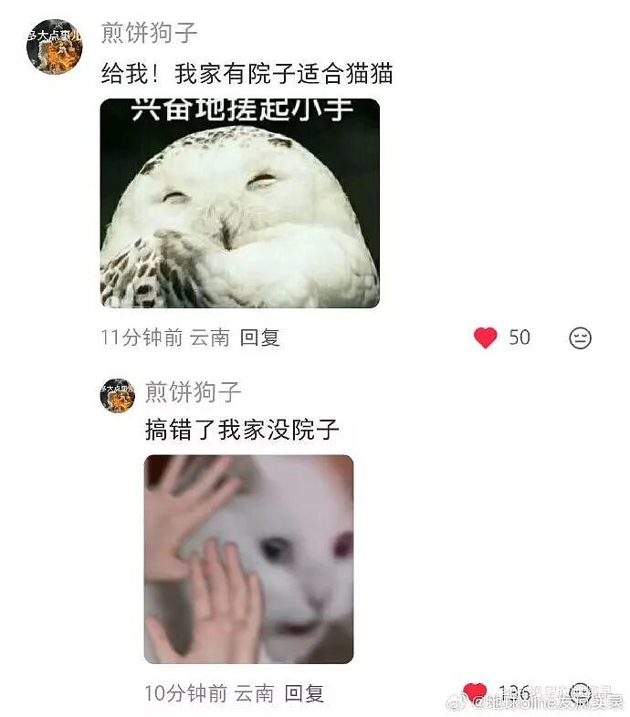 【爆笑】男朋友的朋友对象看上我男朋友了？ ​​​聊天截图太绿茶了（组图） - 61