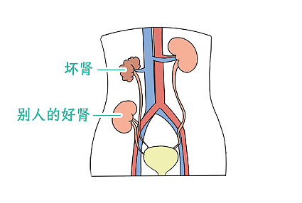 【两性】有哪些听起来特别离谱的两性知识,居然都是真的(组图) - 11