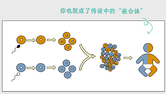 【两性】有哪些听起来特别离谱的两性知识,居然都是真的(组图) - 9