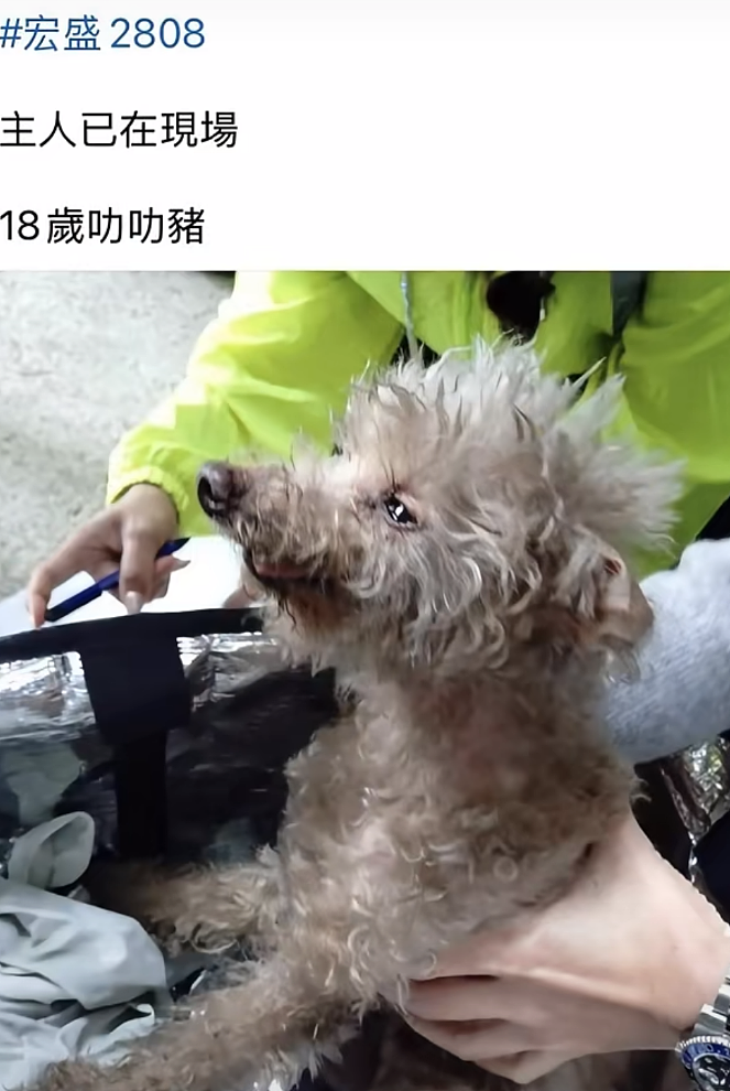 香港火灾75人遇难,遗体照片和遗物辨认程序开放,一名生还者被救出...(组图) - 7
