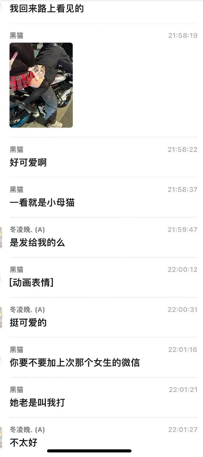 【爆笑】男朋友的朋友对象看上我男朋友了？ ​​​聊天截图太绿茶了（组图） - 4