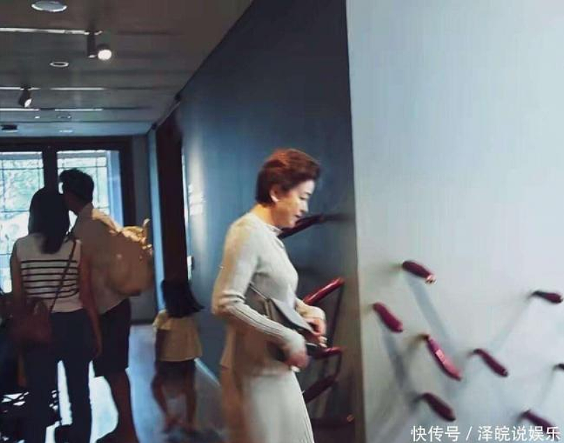 57岁杨澜新加坡近照流出！身材发福打扮贵气（组图） - 3