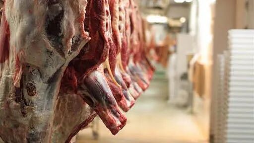 全球抢购新西兰牛羊肉!出口创历史高点!110亿纽币红肉产业大爆发!行业警告:风险很大(组图) - 1