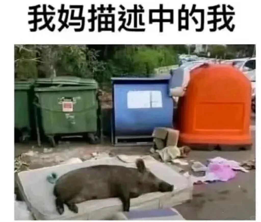 【爆笑】“外文翻译中文能有多逆天?”哈哈哈哈哈哈哈头要笑飞了(组图) - 87