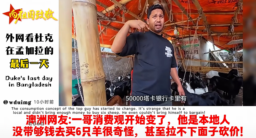 “20万分手费！”轰动全网的跨国“农夫与蛇”，里面的人性不堪一击……（组图） - 8