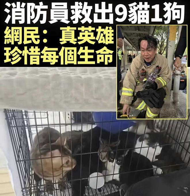 香港向内地求援的物资清单,背后是令人心碎的现实(组图) - 3