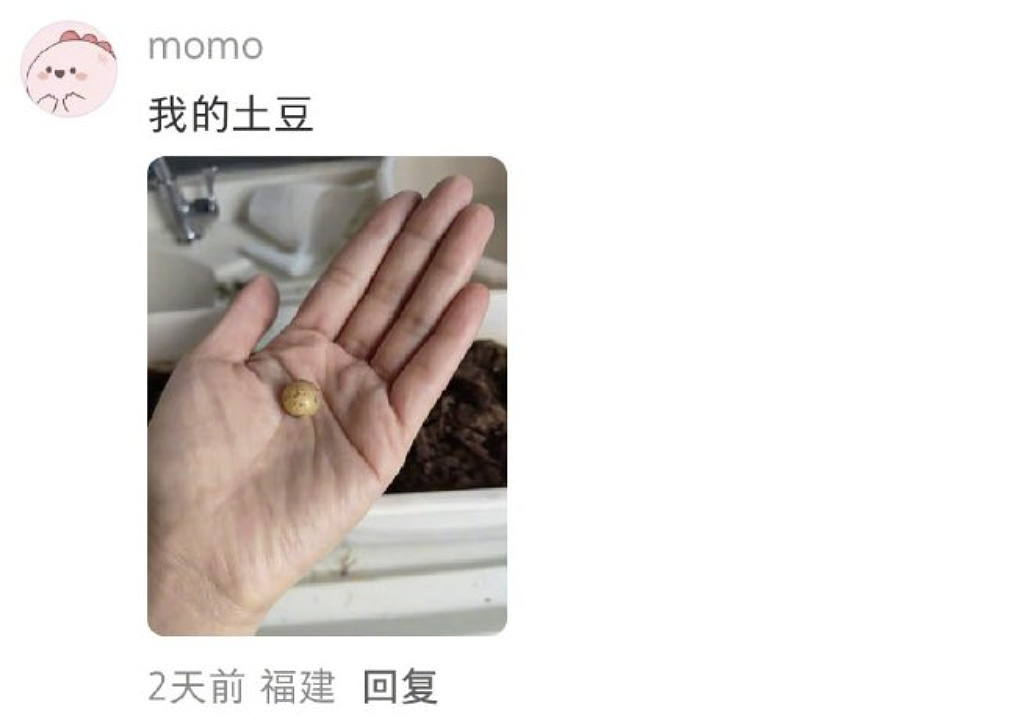 【爆笑】“外文翻译中文能有多逆天?”哈哈哈哈哈哈哈头要笑飞了(组图) - 33