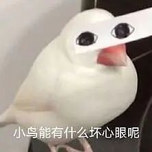 【爆笑】“对娱乐圈的误解能有多大？”哈哈哈哈哈哈哈真的刷新三观（组图） - 19