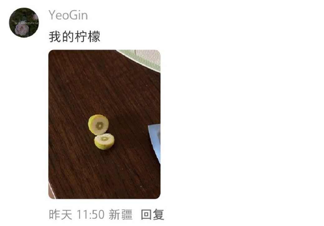 【爆笑】“外文翻译中文能有多逆天?”哈哈哈哈哈哈哈头要笑飞了(组图) - 35